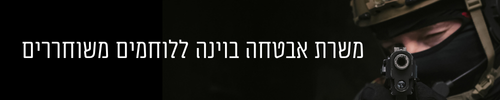 אבטחה בווינה